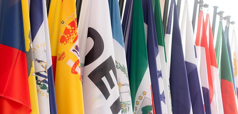 La OEI destaca cinco claves para implementar la transformación digital en Iberoamérica