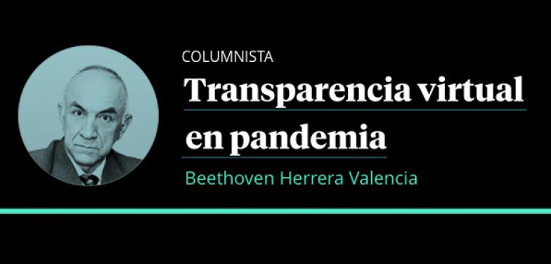 Transparencia virtual en pandemia
