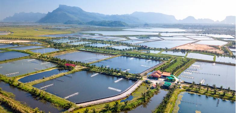 Government of Canada announces over $5M in clean tech funding for British Columbia Fisheries and Aquaculture Projects