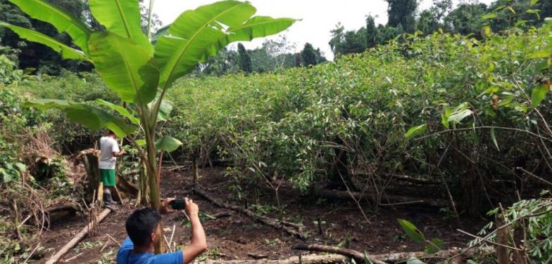 Con tecnología satelital indígenas amazónicos podrían reducir deforestación