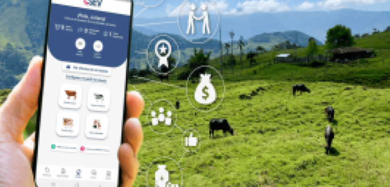 El ‘Tinder’ ganadero: una app para los negocios del sector
