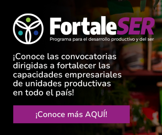 Conoce las convocatorias FortaleSER abiertas para brindar acompañamiento, asesorías y herrameintas a unidades productivas de la Economía Popular