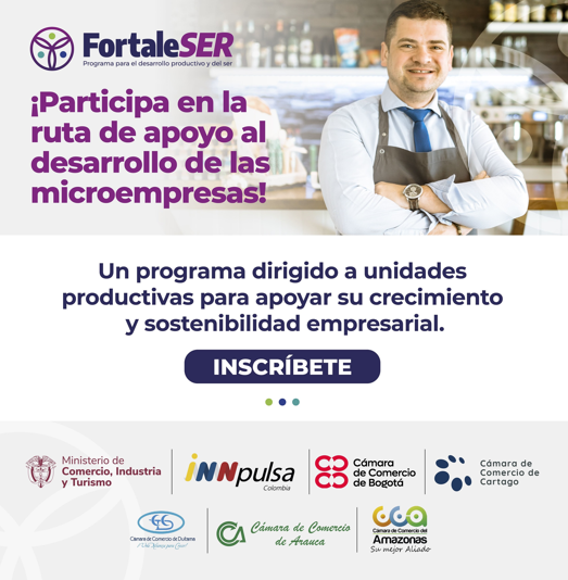 Convocatoria FortaleSER 2024- Bogotá D.C. (Chía, Cota, Cajicá, Zipaquirá, Tocancipá, Sopo, Fusagasugá y Soacha), Duitama, Amazonas (Leticia), Arauca y Cartago (Roldanillo, La Unión, Anserma nuevo y Obando).